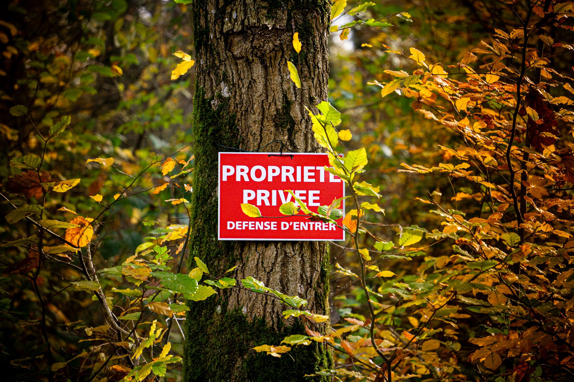 Détective privé à Pessac